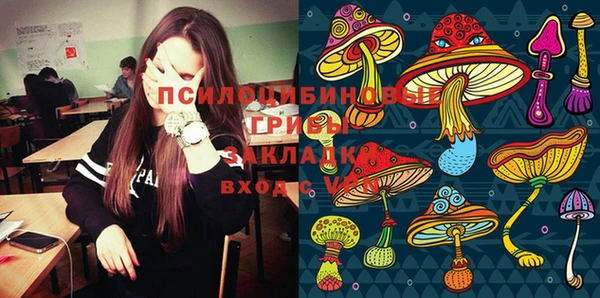 МДПВ Абдулино