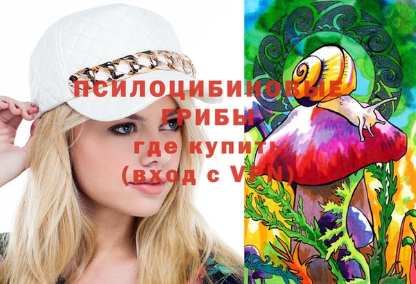МДПВ Абдулино