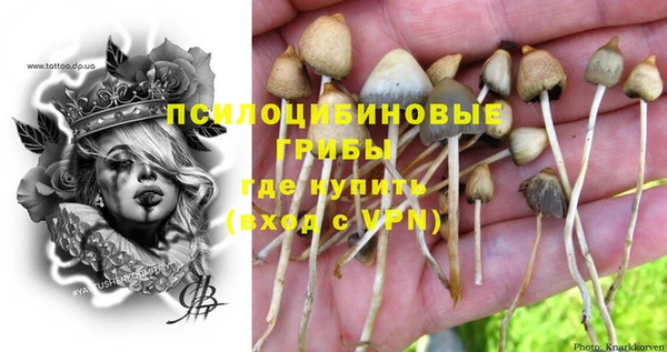 a pvp Абинск
