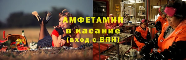 PSILOCYBIN Алзамай