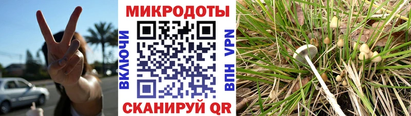 hydra маркетплейс Ишимбай darknet какой сайт Псилоцибиновые грибы Magic Shrooms